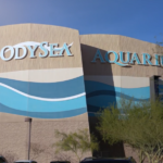 2025 Odyssey Sea Aquarium Client Appreciation
