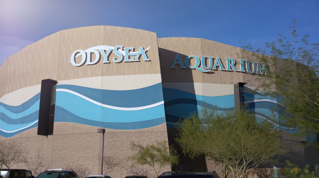 2025 Odyssey Sea Aquarium Client Appreciation